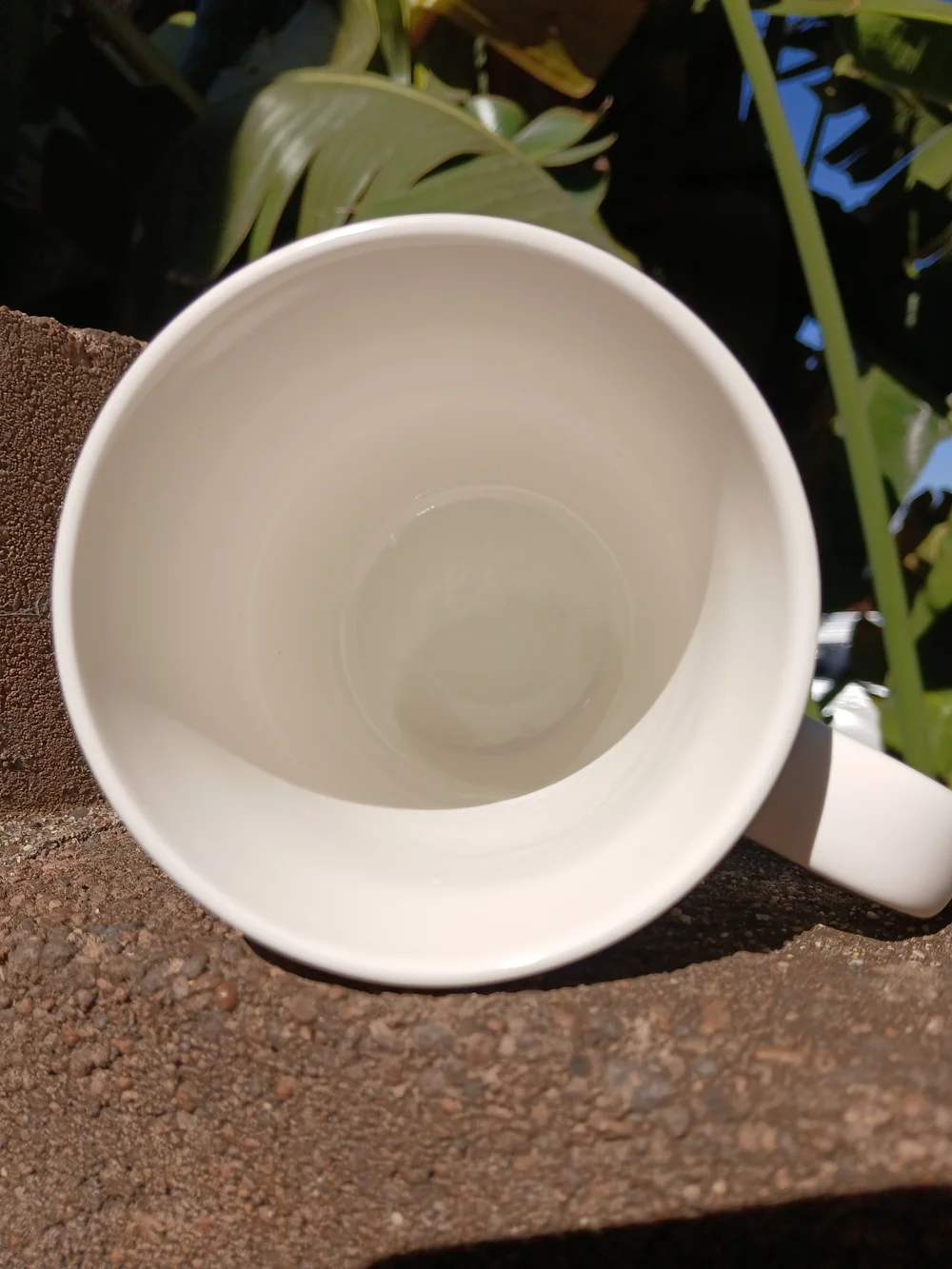Best Cat Mom Ever Coffee Mug White Ceramic Cat Lover Gift Microwave Safe